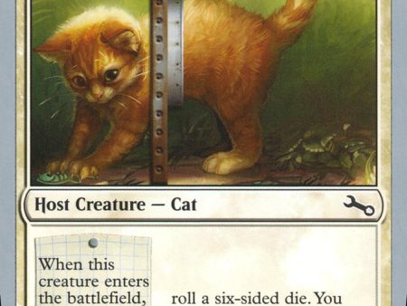 Adorable Kitten [Unstable] Sale