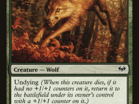 Young Wolf [Dark Ascension] For Sale