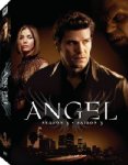 ANGEL (TV SHOW)  - DVD-SEASON THREE (SLIM CASES) For Discount